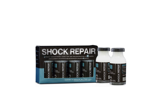 Shock Repair